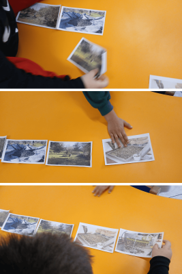 Από την ελιά… στο λάδι!